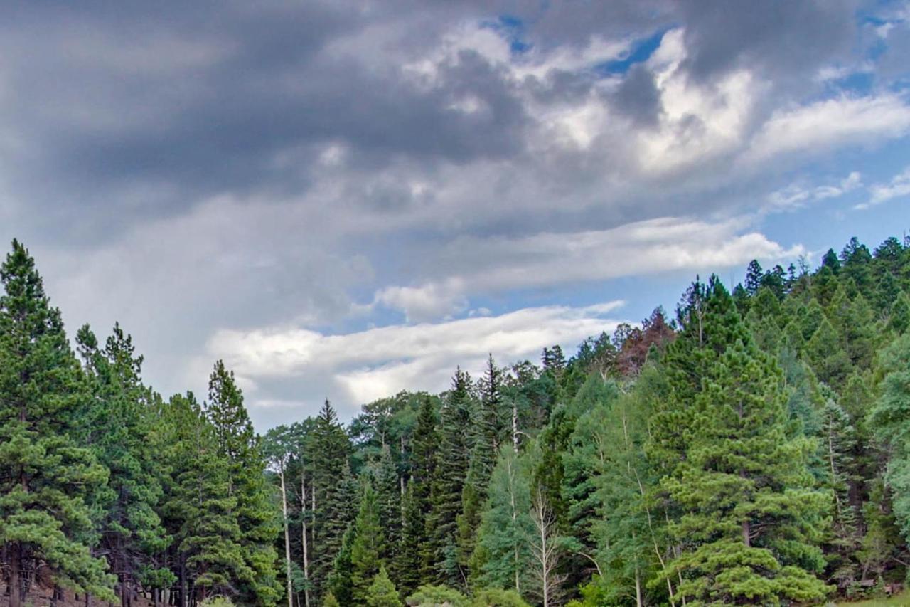 Gold Creek 208 Διαμέρισμα Angel Fire Εξωτερικό φωτογραφία